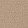 Masland Carpets: Distinctive Fawn